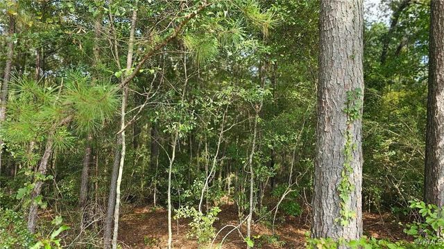 16761 SUNSHINE, Ralph, AL 35480