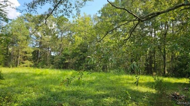 16761 SUNSHINE, Ralph, AL 35480