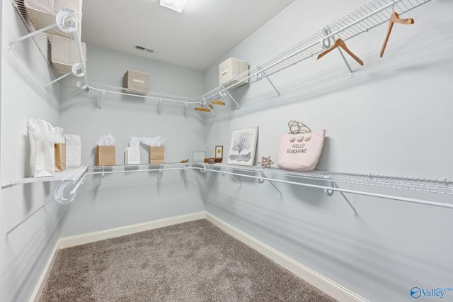163 Legacy Cove Drive, Madison, AL 35756