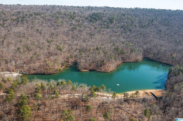 98 HAWTHORN STREET, Birmingham, AL 35242