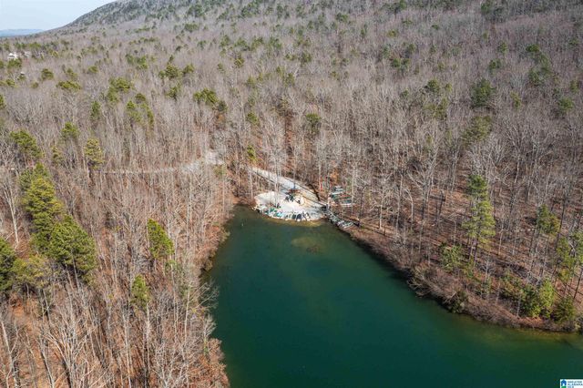 98 HAWTHORN STREET, Birmingham, AL 35242