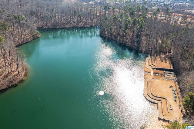 98 HAWTHORN STREET, Birmingham, AL 35242