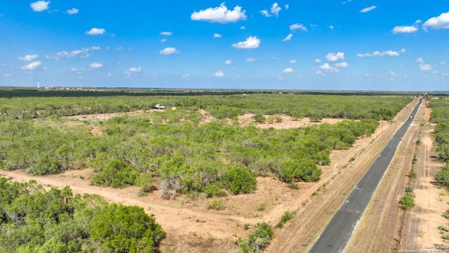 6472 Bluntzer Rd, Jourdanton, TX 78026