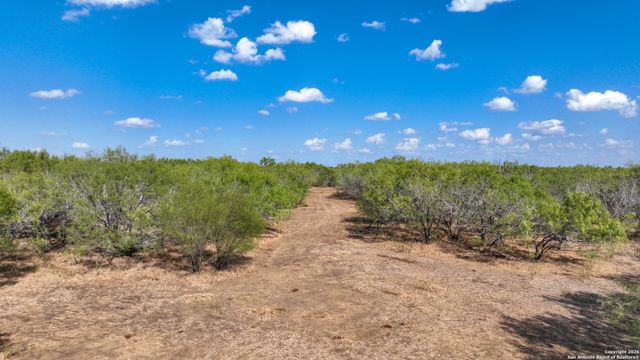 6472 Bluntzer Rd, Jourdanton, TX 78026