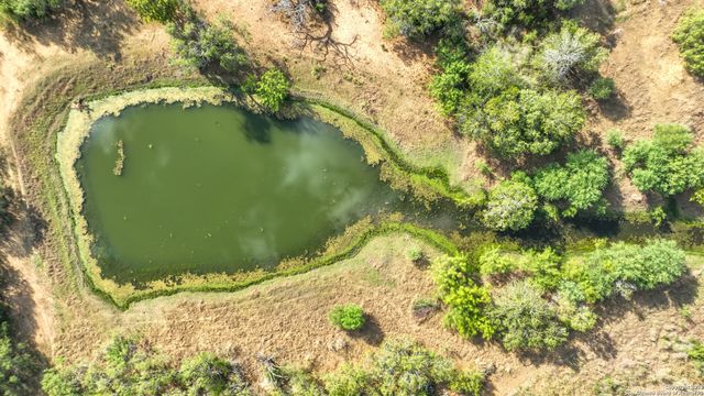 6472 Bluntzer Rd, Jourdanton, TX 78026