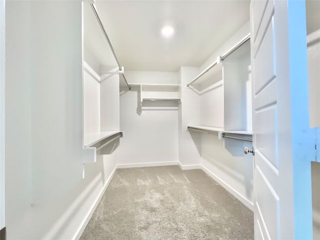 991 Sprangletop Street, Allen, TX 75013