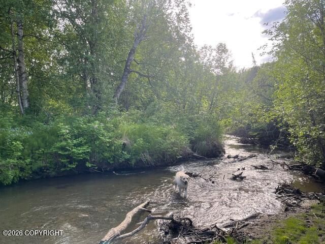 7786 E Tributary Avenue, Palmer, AK 99645