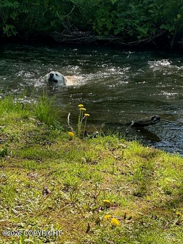 7786 E Tributary Avenue, Palmer, AK 99645