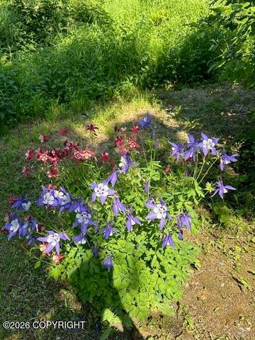 7786 E Tributary Avenue, Palmer, AK 99645