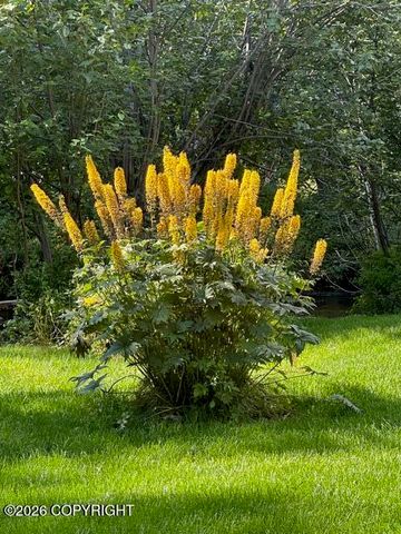 7786 E Tributary Avenue, Palmer, AK 99645