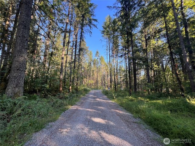 18311 Shenandoah Lane SE, Yelm, WA 98597