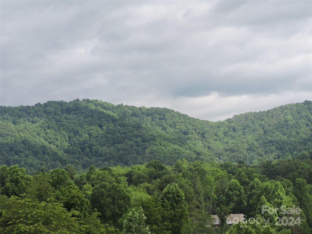 60 Gins Lane lot 11, Mars Hill, NC 28754