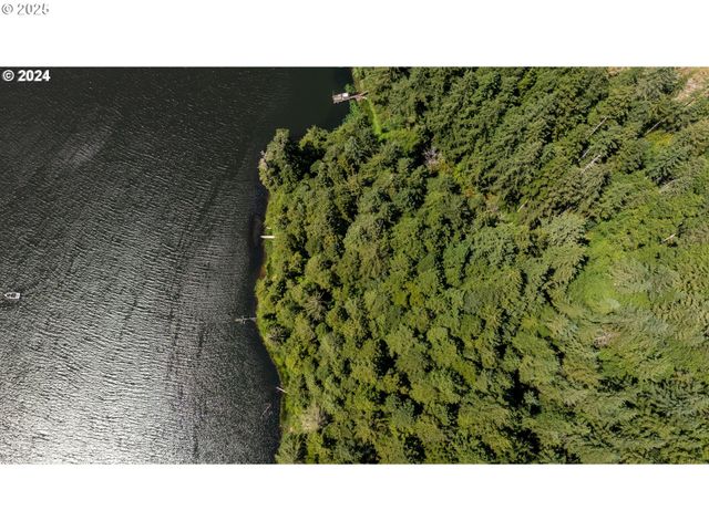 0 Tenmile Lake, Lakeside, OR 97449