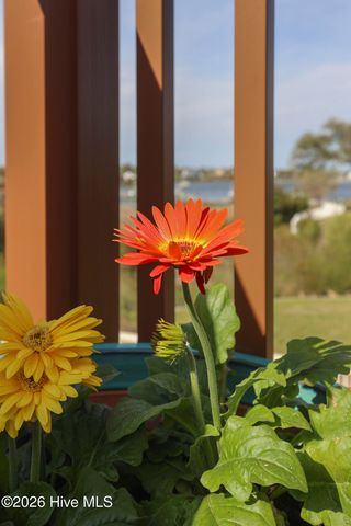 113 Harold Avenue, Swansboro, NC 28584