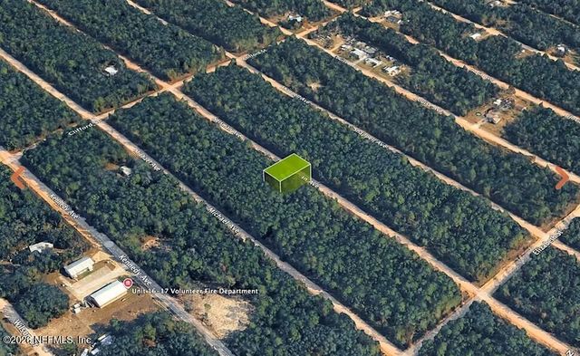 0 NEISMAN Avenue, Interlachen, FL 32148