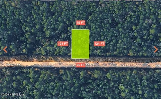 0 NEISMAN Avenue, Interlachen, FL 32148