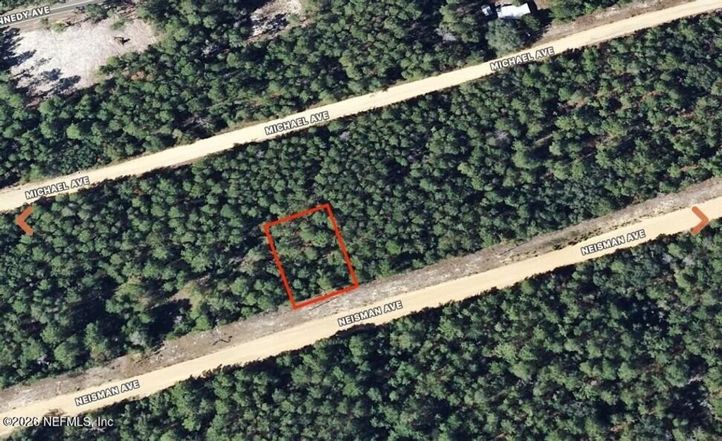 0 NEISMAN Avenue, Interlachen, FL 32148