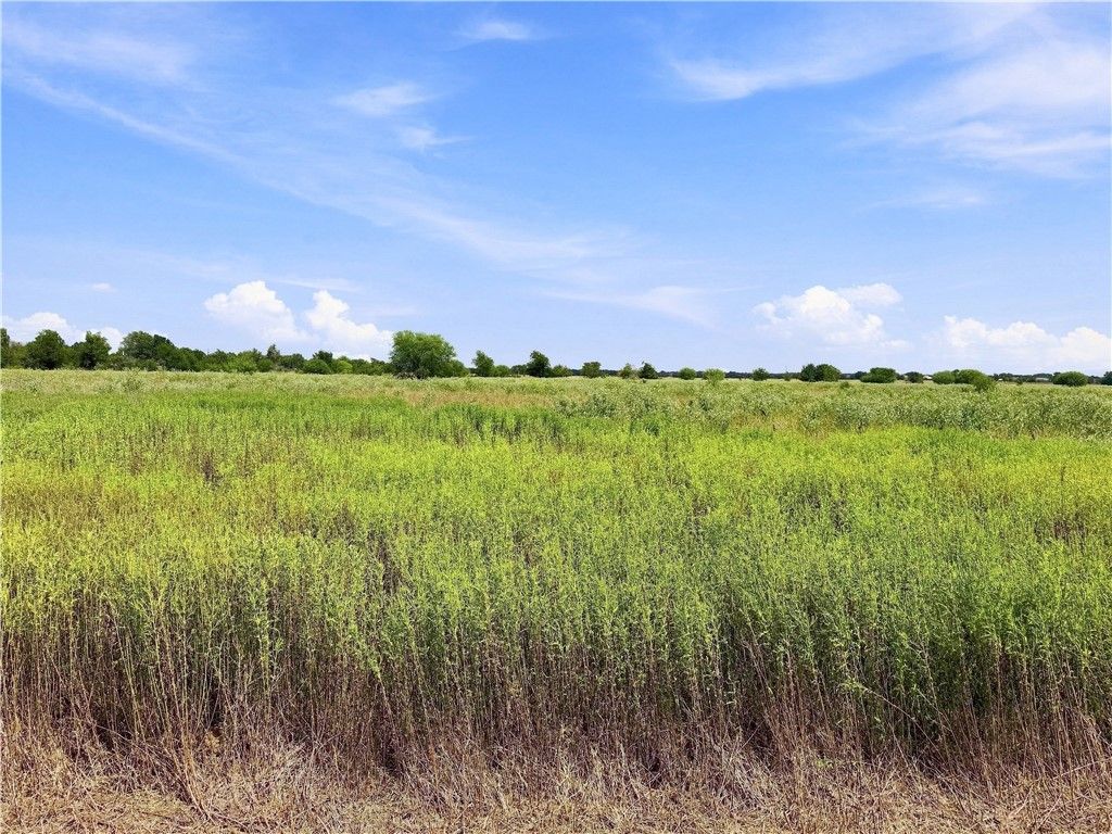4732 Deadwood Lane, Bryan, TX 77808 — photo 4