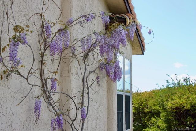 32137 Cerrada del Coyote, Warner Springs, CA 92086