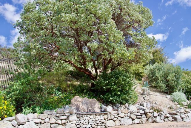 32137 Cerrada del Coyote, Warner Springs, CA 92086