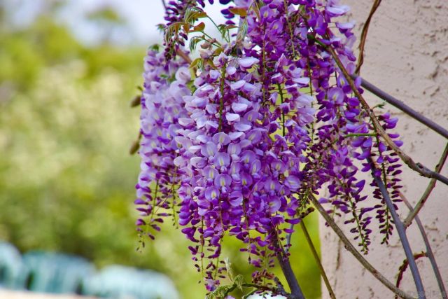 32137 Cerrada del Coyote, Warner Springs, CA 92086