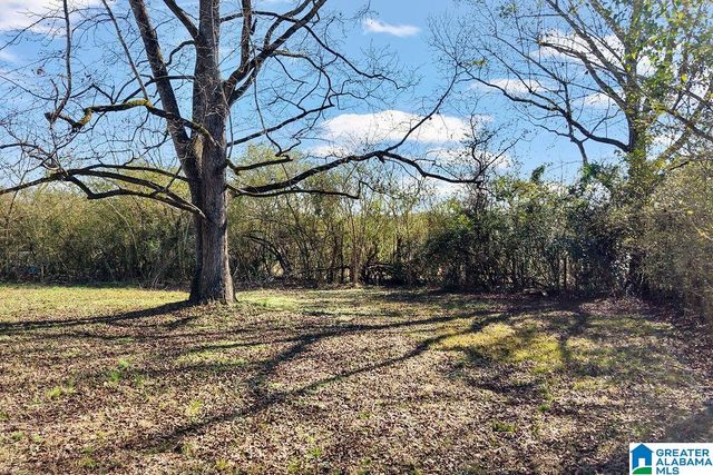 117 MOONEY ROAD, Columbiana, AL 35051