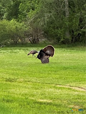 1206 Al Calde De La Bahia, Goliad, TX 77963