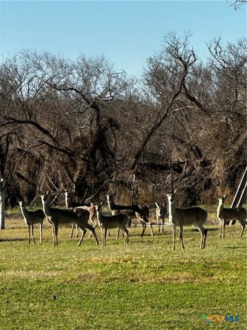 1206 Al Calde De La Bahia, Goliad, TX 77963
