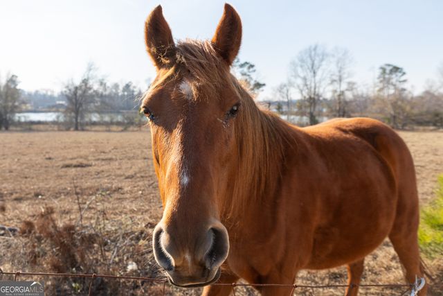 1578 Edsel Senn Road, Rockledge, GA 30454