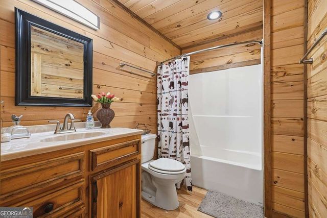 284 The Woods Road 33, Mineral Bluff, GA 30559