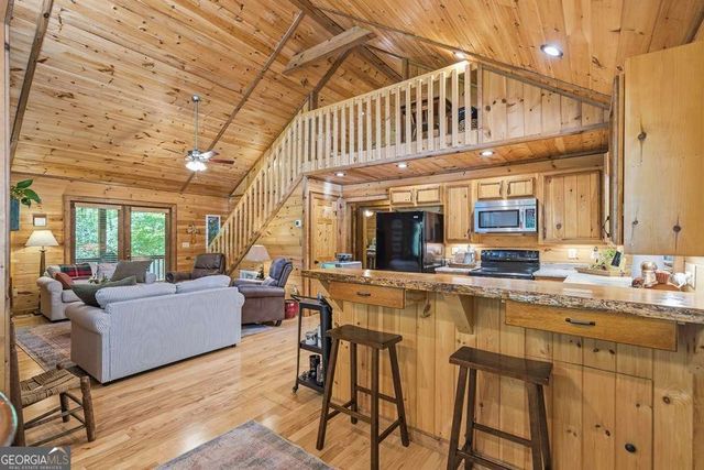 284 The Woods Road 33, Mineral Bluff, GA 30559