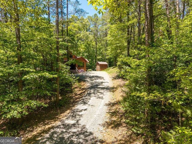 284 The Woods Road 33, Mineral Bluff, GA 30559