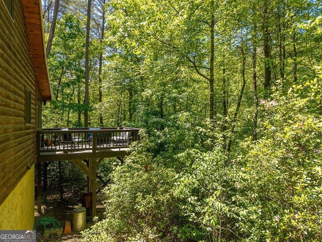 284 The Woods Road 33, Mineral Bluff, GA 30559