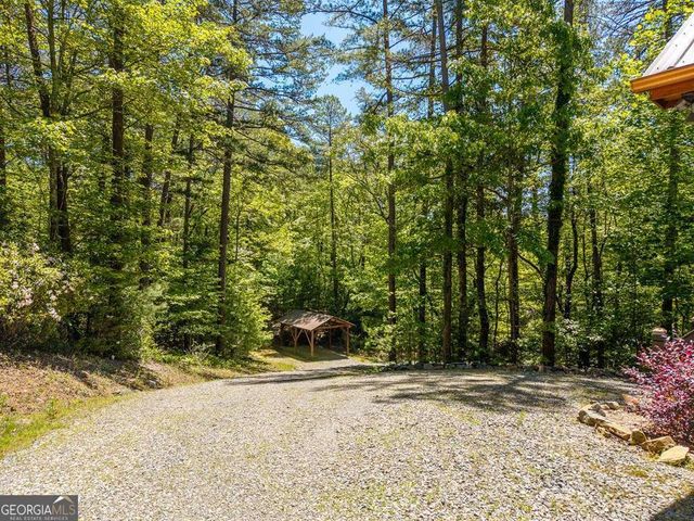 284 The Woods Road 33, Mineral Bluff, GA 30559