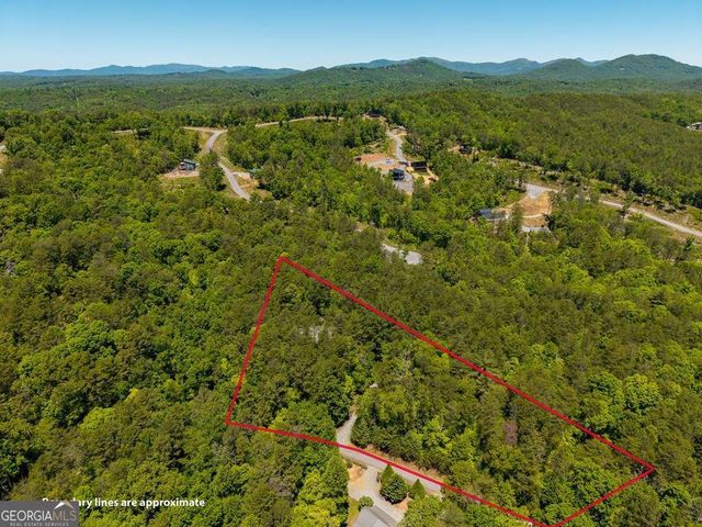 284 The Woods Road 33, Mineral Bluff, GA 30559