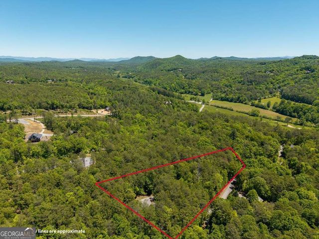 284 The Woods Road 33, Mineral Bluff, GA 30559