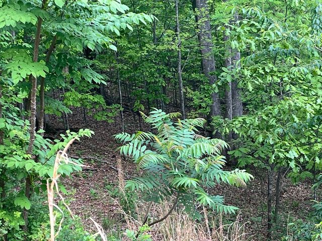 Lot 10 Summit Trail, Hiawassee, GA 30546