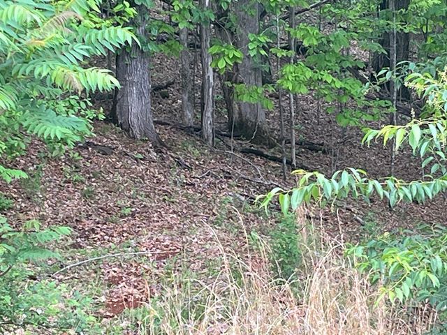 Lot 10 Summit Trail, Hiawassee, GA 30546