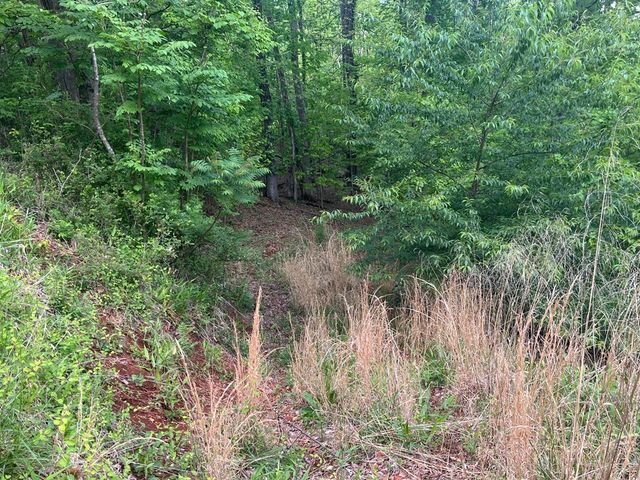 Lot 10 Summit Trail, Hiawassee, GA 30546