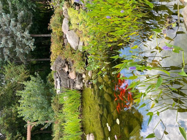 1090 Buckridge Drive NE, Rochester, MN 55906