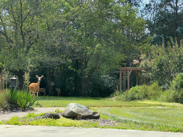 1090 Buckridge Drive NE, Rochester, MN 55906