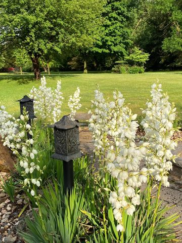 1090 Buckridge Drive NE, Rochester, MN 55906