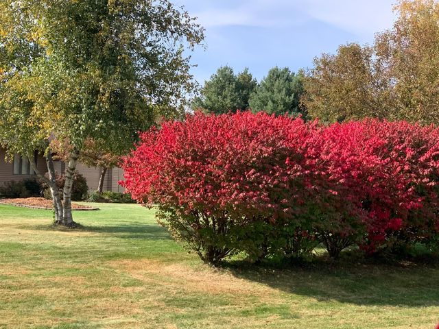 1090 Buckridge Drive NE, Rochester, MN 55906