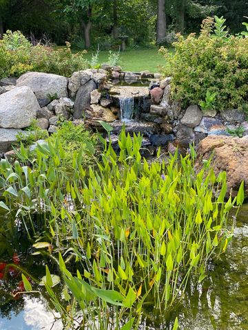 1090 Buckridge Drive NE, Rochester, MN 55906