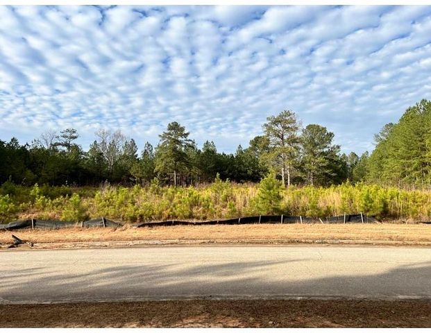 4249 Giverney Boulevard, Fairburn, GA 30213