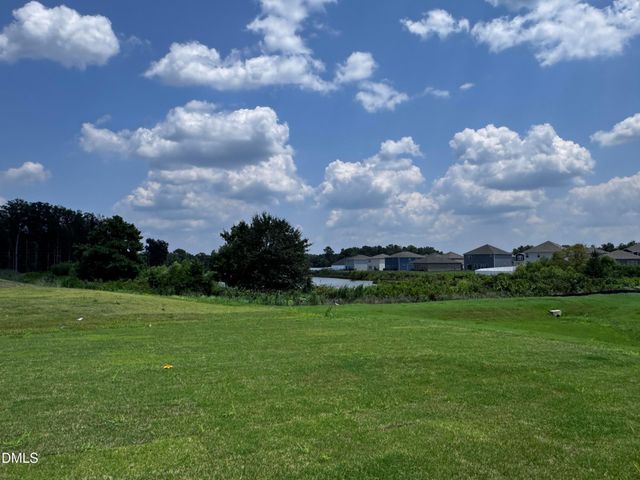 50 Thistle Patch Place, Angier, NC 27501