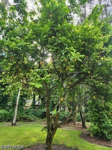 5930 Spanish Oaks LN, Naples, FL 34119