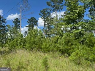 LOT 10 Tennille Oconee Road, Tennille, GA 31089