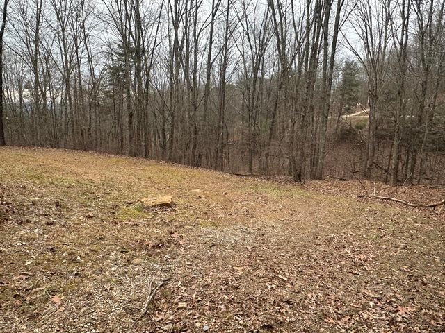 330 Johnson Road, Pikeville, TN 37367