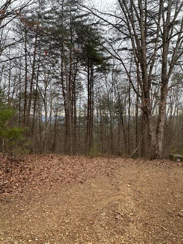 330 Johnson Road, Pikeville, TN 37367